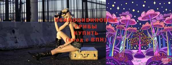 spice Коряжма