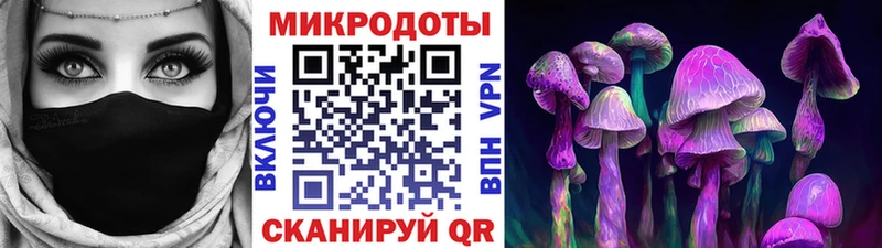 Купить закладки  Электросталь  Псилоцибиновые грибы мицелий 
